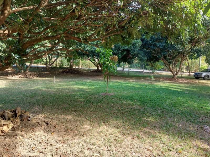 Prime 2 Rai Land Between Chiang Rai City & White Temple! - NONGPUENG LAND FOR SALE